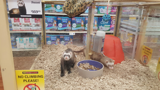 Pet Supply Store «Pet Supermarket», reviews and photos, 880 A1A N, Ponte Vedra Beach, FL 32082, USA