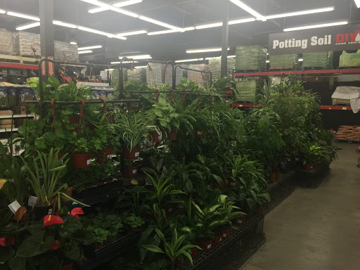 Hardware Store «DIY Home Center», reviews and photos, 2695 Cochran St, Simi Valley, CA 93065, USA