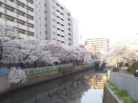 ドミトリー横浜