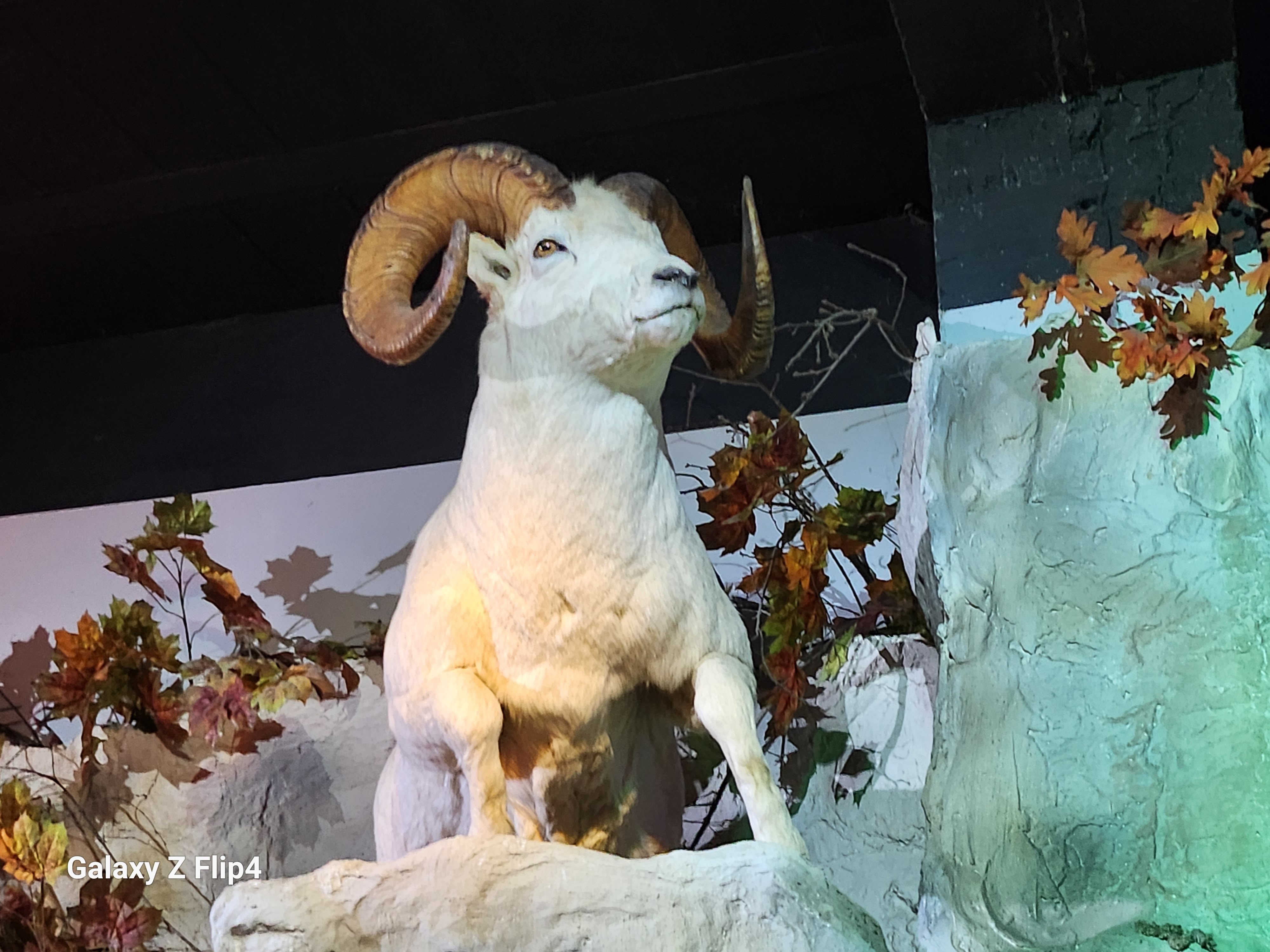 Photo n° 8 de l'avis de pascal.h fait le 02/05/2023 à 19:13