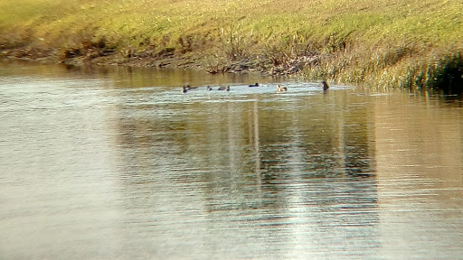 Recreation Center «Apollo Beach Recreation Center», reviews and photos, 664 Golf and Sea Blvd, Apollo Beach, FL 33572, USA