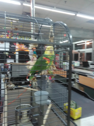 Pet Supply Store «I Love My Pets Supplies and Grooming», reviews and photos, 32875 Fort Rd, Rockwood, MI 48173, USA