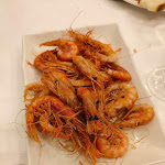 Photo n°5 de l'avis de Giuseppe.� fait le 30/04/2023 à 17:47 sur le  Il Delfino Ristorante Trattoria à Palermo