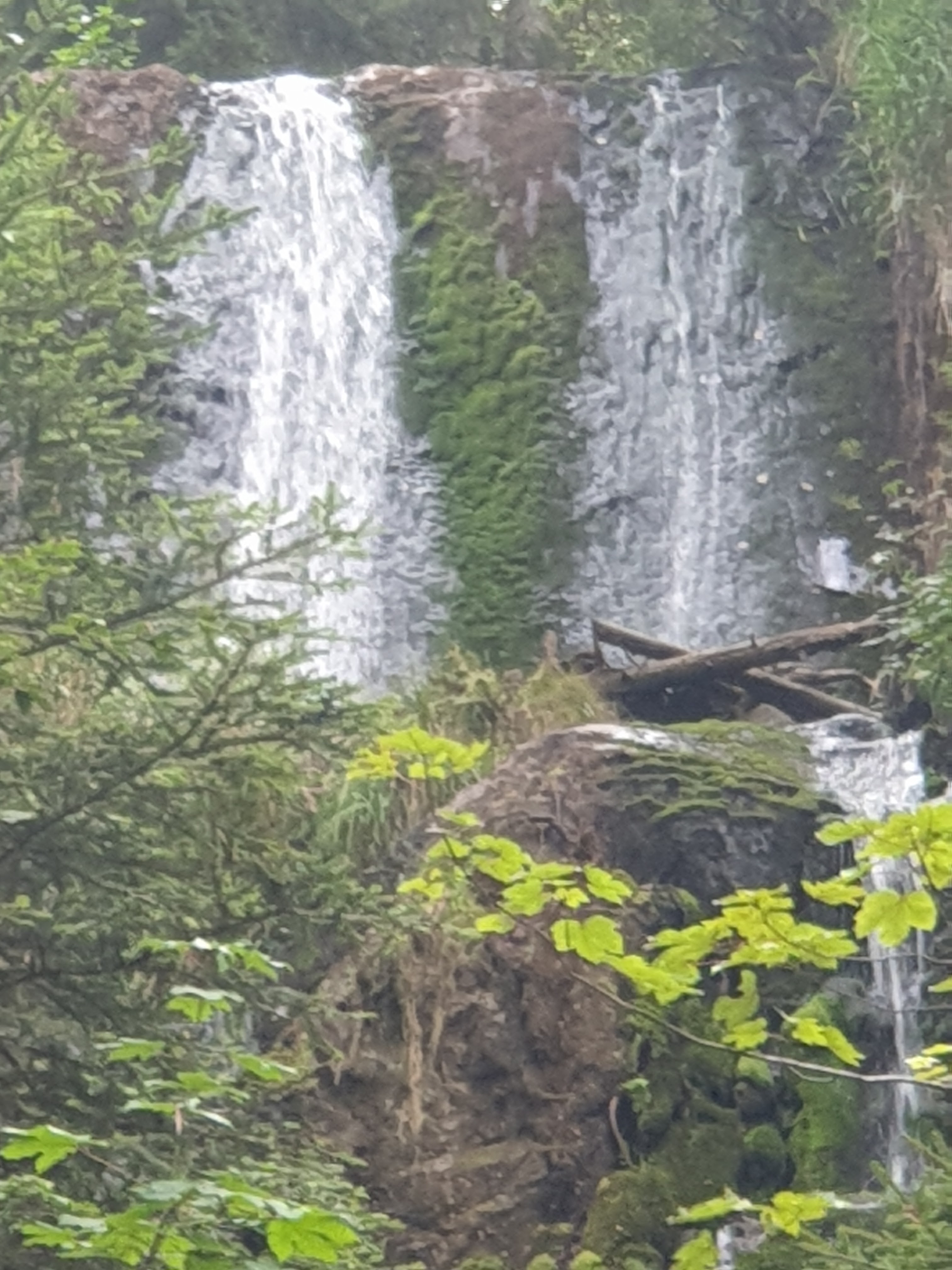 Photo n° 2 de l'avis de Jean.l fait le 14/08/2020 à 15:46