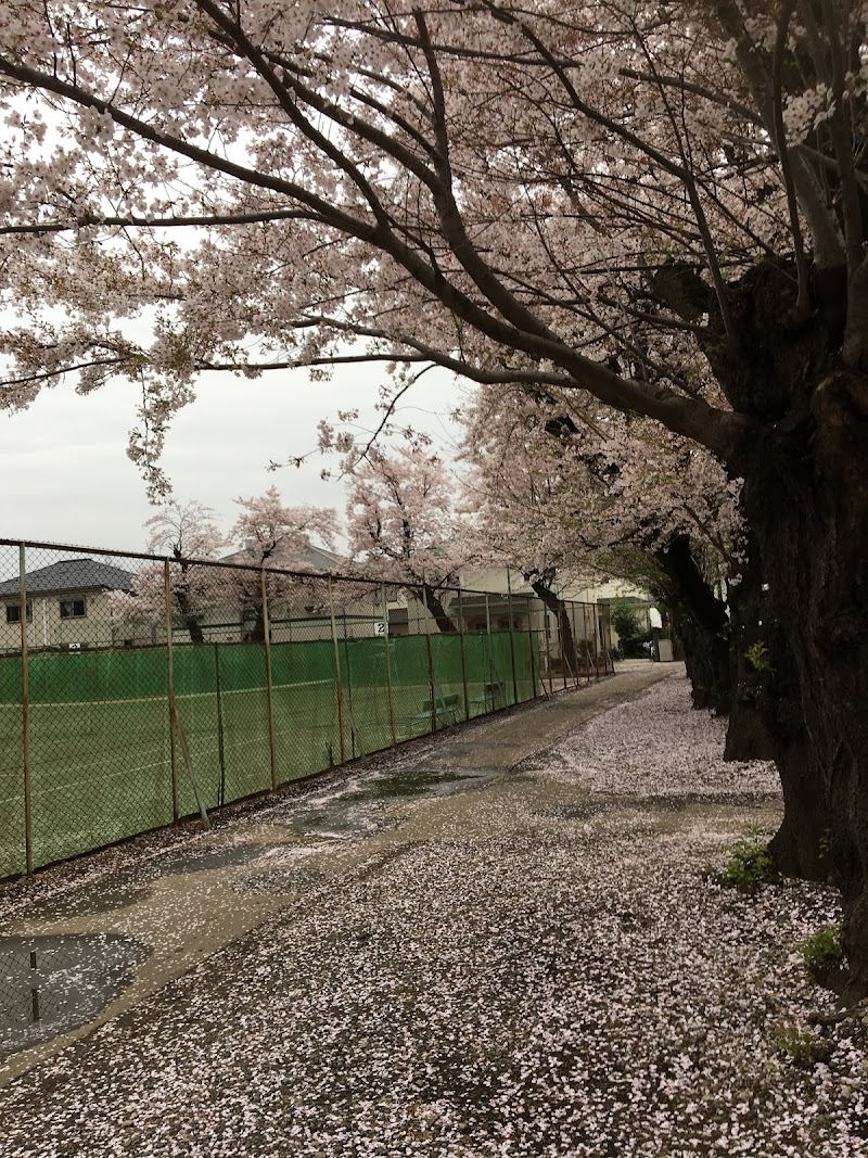 昭和公園 テニスコート