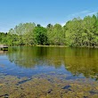 Brumley Forest Nature Preserve