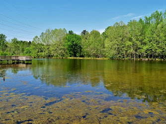 Brumley Forest Nature Preserve