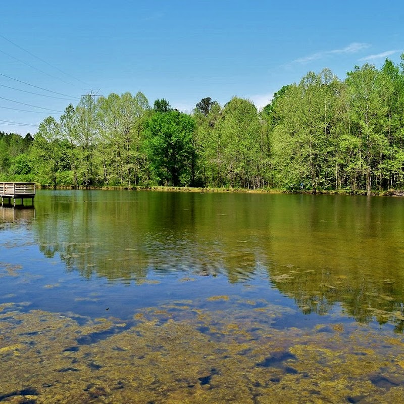 Brumley Forest Nature Preserve