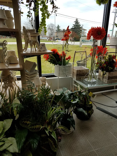 Florist «Hofmann Florist», reviews and photos, 450 Dixie Hwy, Chicago Heights, IL 60411, USA