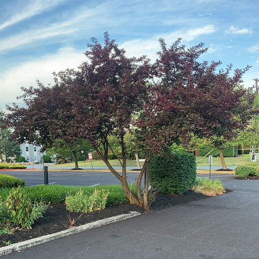 Criminal Justice Attorney «The McShane Firm, LLC», reviews and photos