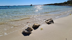 Foto von Plaza Siroki Bok wilde gegend