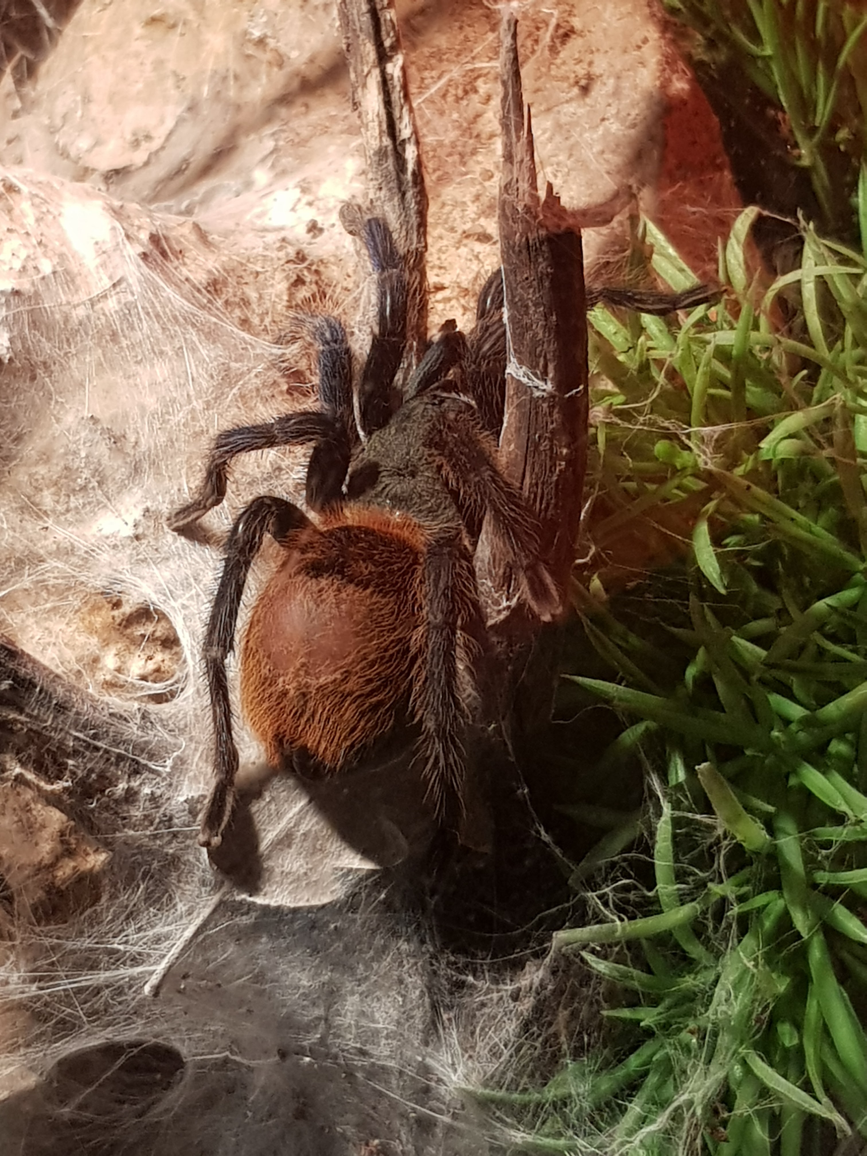 Photo n° 6 de l'avis de Danielle.a fait le 07/03/2019 à 19:30