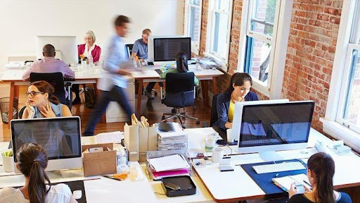 Website Designer «Biondo Creative», reviews and photos, 1114 Tabor Terrace, Philadelphia, PA 19111, USA