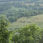 Photo n° 1 de l'avis de veronique.e fait le 10/08/2021 à 14:52 pour Camping Municipal La Biaugue à Cheylade