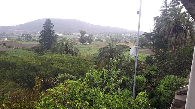 Comentarios y opiniones de Jardín Botánico Yachay