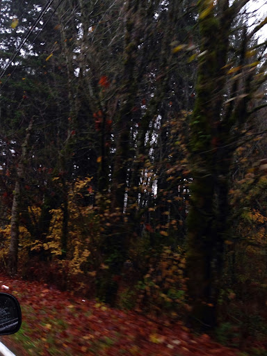 State Park «Willamette Stone State Heritage Site», reviews and photos, 253 NW Skyline Blvd, Portland, OR 97210, USA