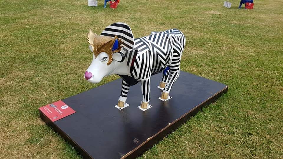 Photo n° 4 de l'avis de Coralie.u fait le 16/07/2019 à 16:41