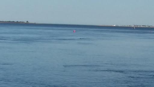 Park «Waterfront Promenade Park», reviews and photos, 22 Merrimac St, Newburyport, MA 01950, USA