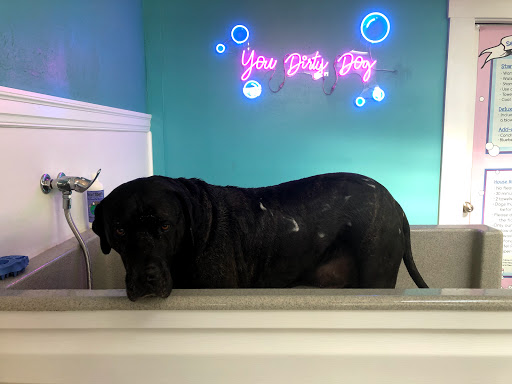 Pet Supply Store «Health Mutt», reviews and photos, 6116 N Central Ave, Tampa, FL 33604, USA