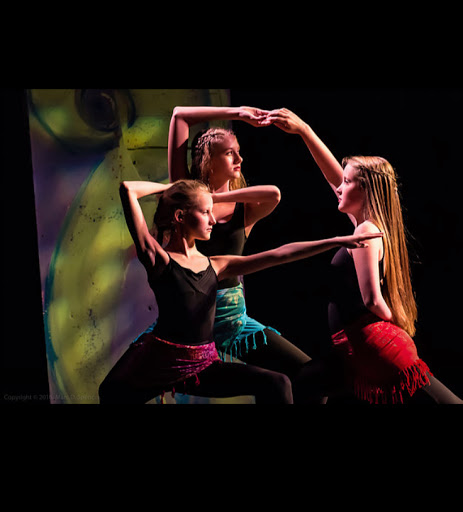 Dance School «Deborah Abel School of Modern Dance», reviews and photos, 7 Harrington Rd, Lexington, MA 02421, USA