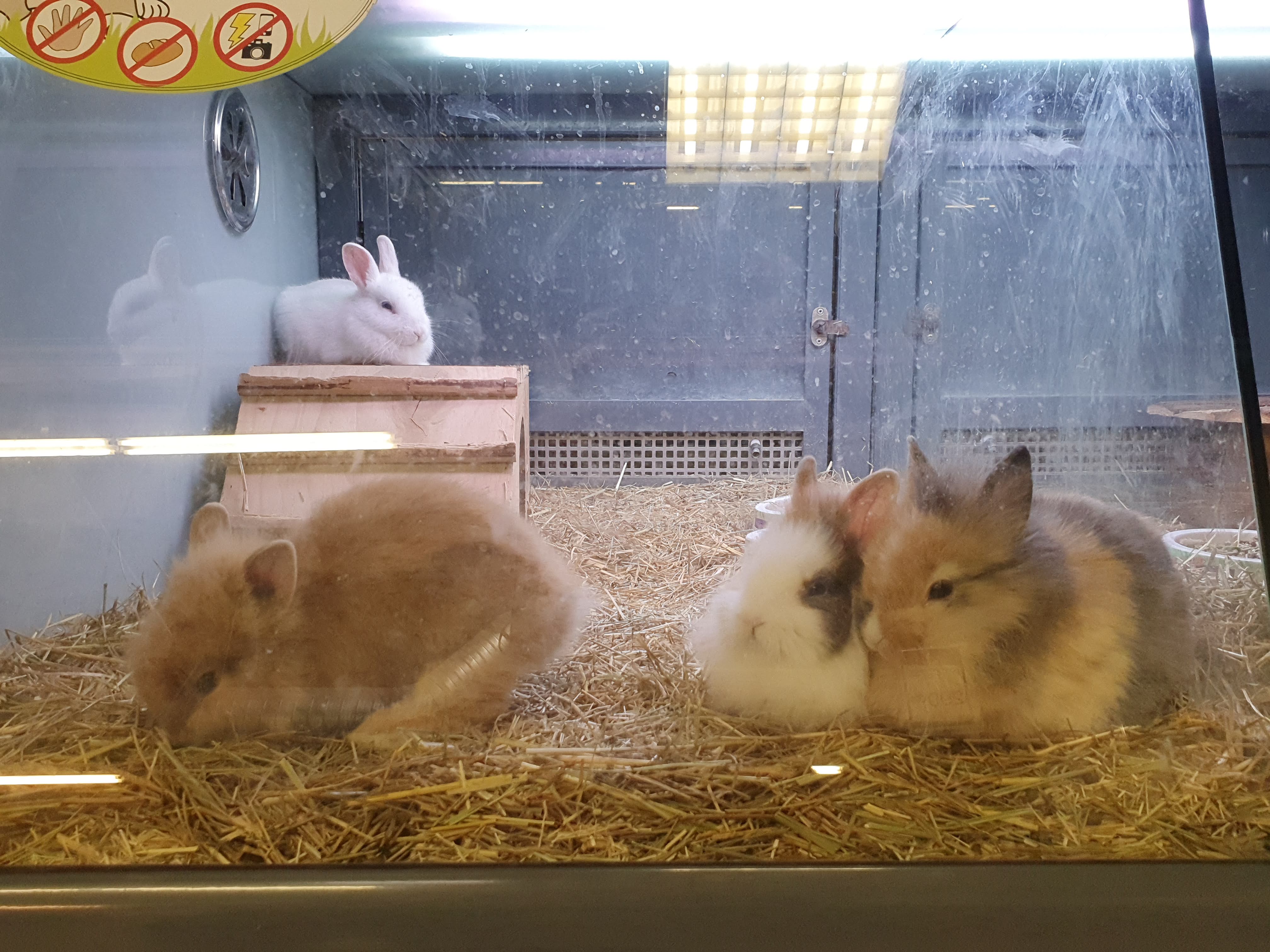Photo n° 16 de l'avis de olivier.e fait le 20/01/2020 à 11:28
