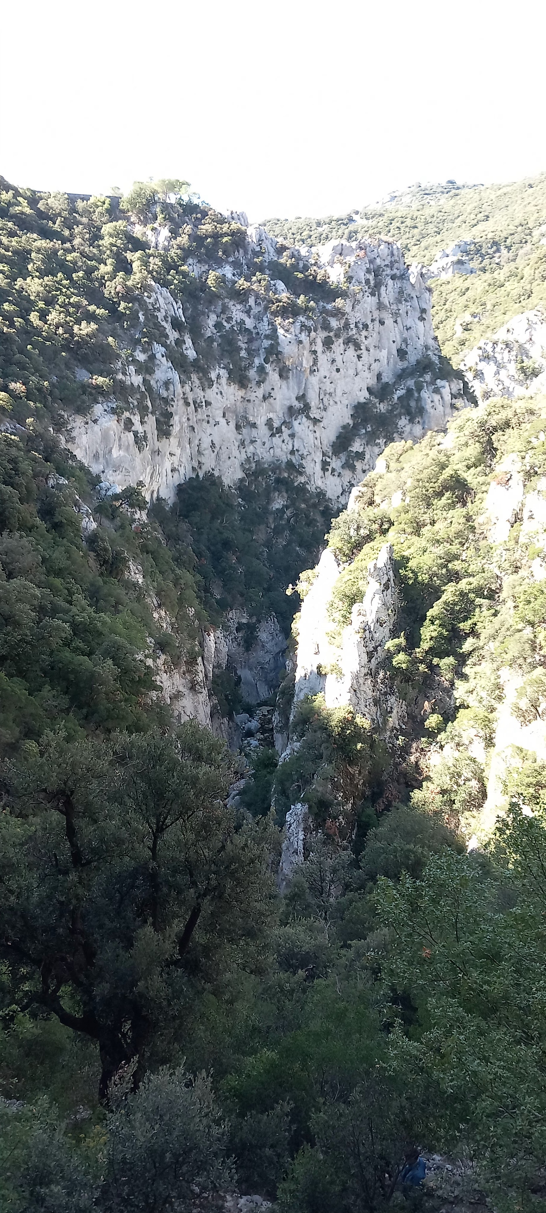 Photo n° 14 de l'avis de Nicolas.a fait le 24/09/2023 à 17:42