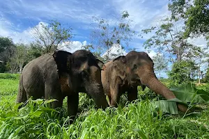 Phuket Elephant Nature Reserve - Ethical Elephant Sanctuary image