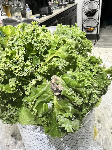 Gift Shop «Edible Arrangements», reviews and photos, 3130 Sugarloaf Pkwy, Lawrenceville, GA 30045, USA