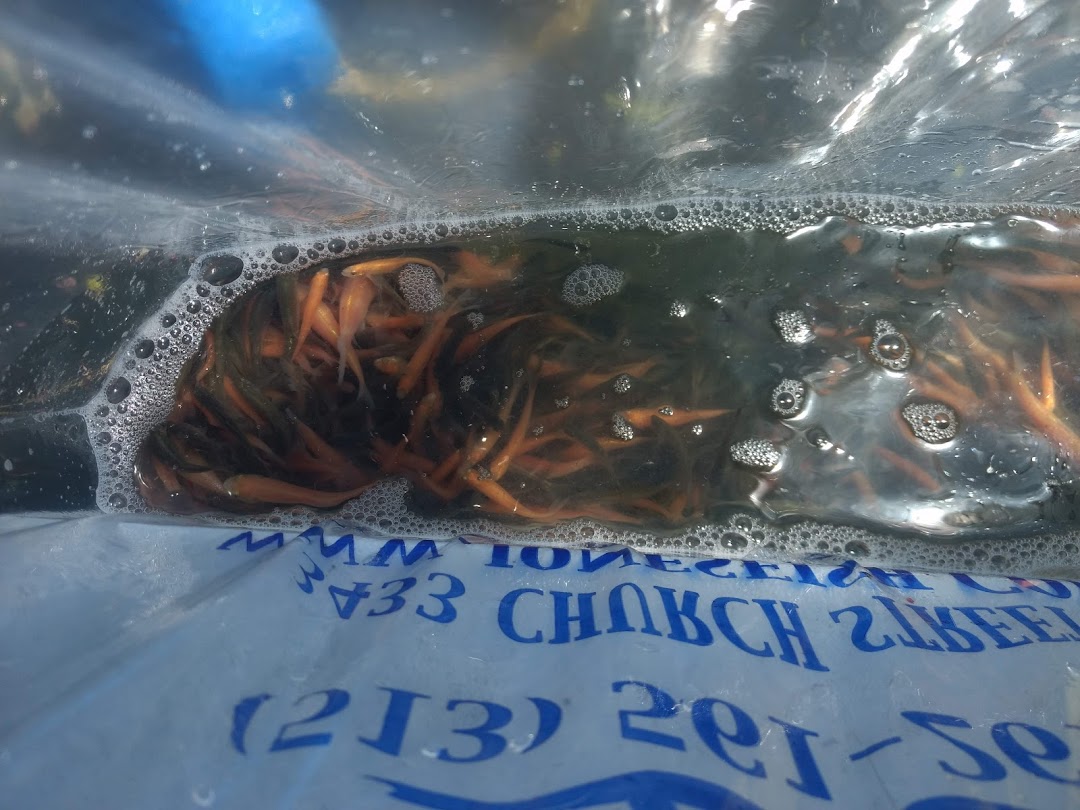 Jones Fish and Lake Management