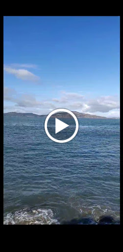 Historical Landmark «Painted Ladies», reviews and photos, Steiner St, San Francisco, CA 94117, USA