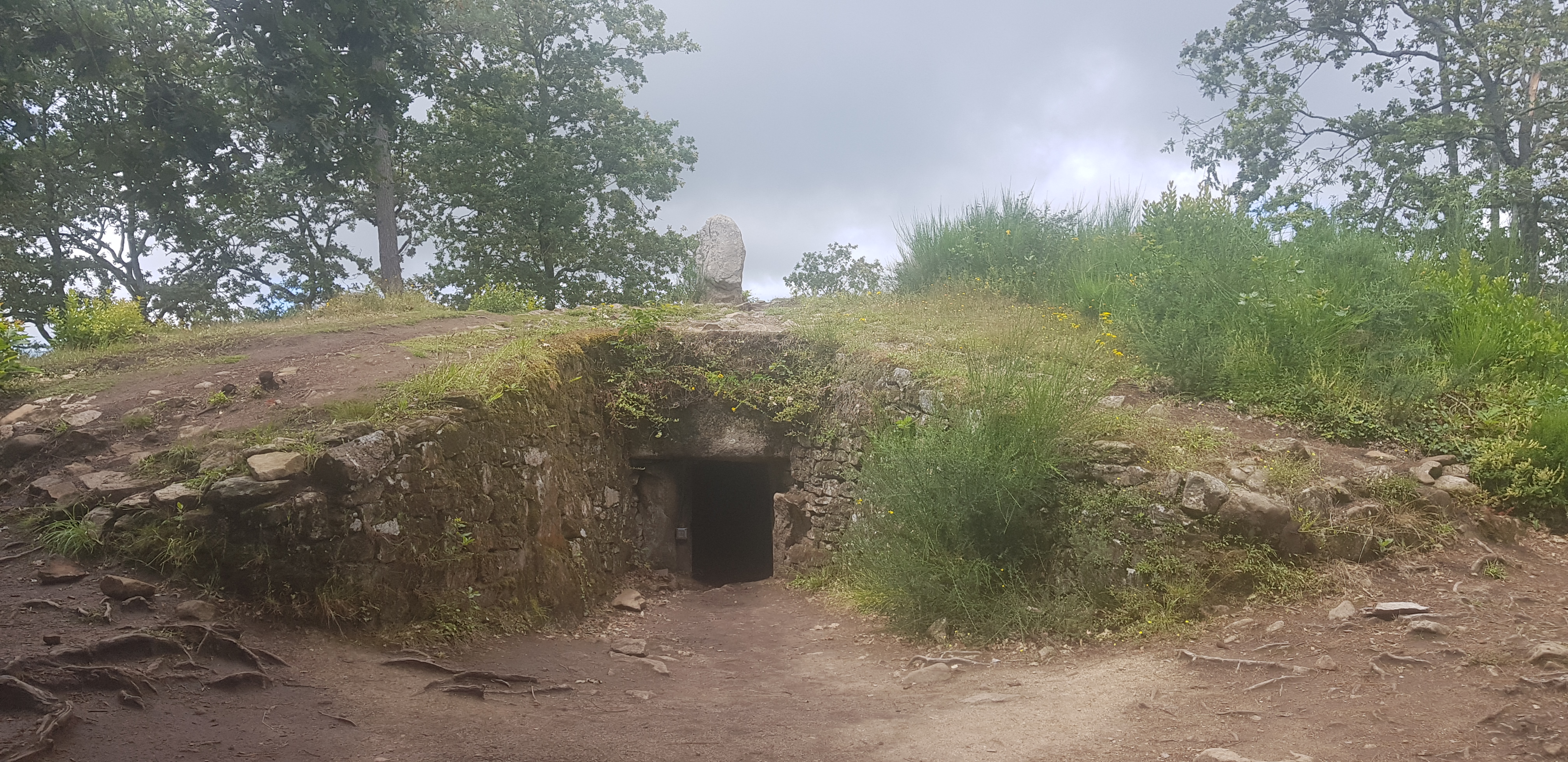 Photo n° 2 de l'avis de Loïc.a fait le 11/07/2021 à 19:27