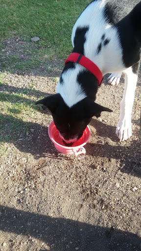 Park «Victor Park», reviews and photos, 1601 S M St, Harlingen, TX 78550, USA