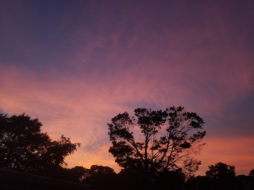 Water Park «Petersen Splash Pad at Watson Park», reviews and photos, Gordon Rd, Braintree, MA 02184, USA