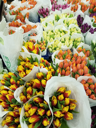 Florist «Potomac Wholesaler», reviews and photos, 2403 Linden Ln, Silver Spring, MD 20910, USA