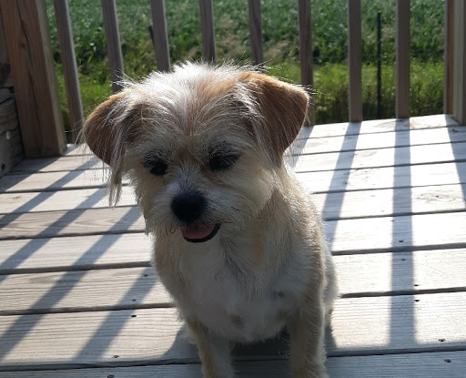 Pet Supply Store «Petco Animal Supplies», reviews and photos, 1450 Twixt Town Rd, Marion, IA 52302, USA