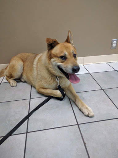 712 N Citrus Ave, Covina, CA 91723, USA