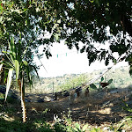 Photo n°21 de l'avis de Antonio.� fait le 27/10/2019 à 05:31 sur le  Barone Montefeo à Colla Maffone