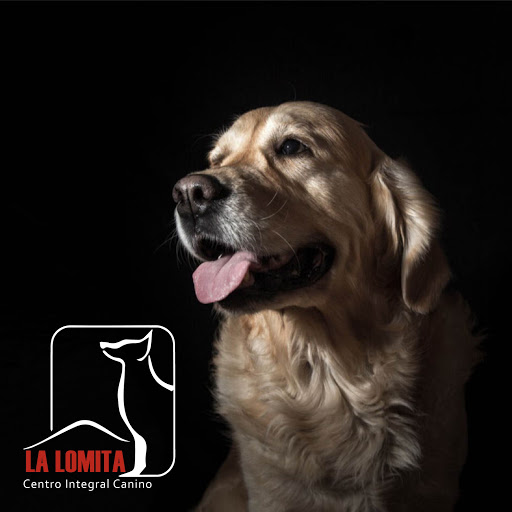 Centro Integral Canino La Lomita