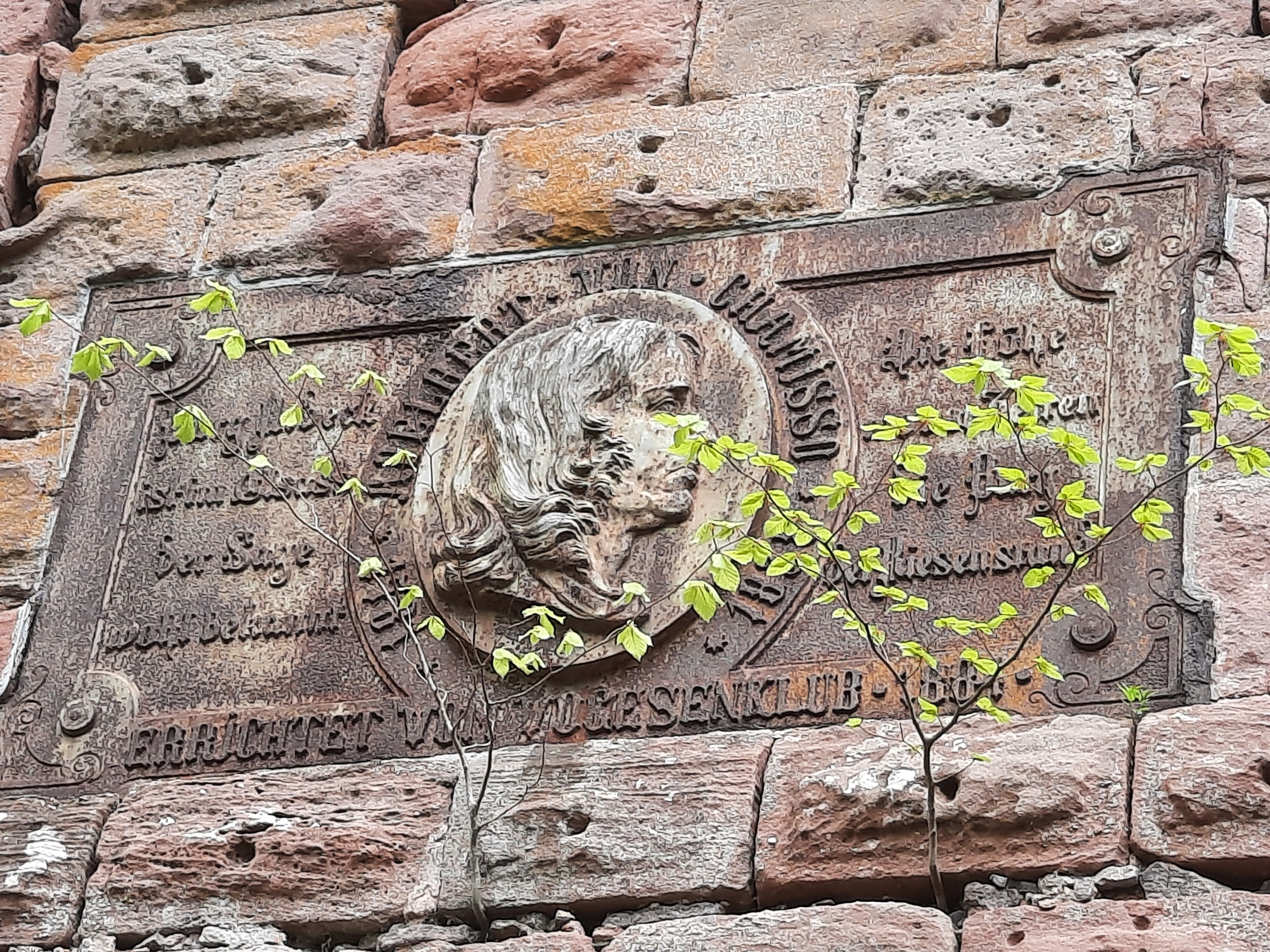 Photo n° 1 de l'avis de sandrine.o fait le 06/05/2022 à 14:01