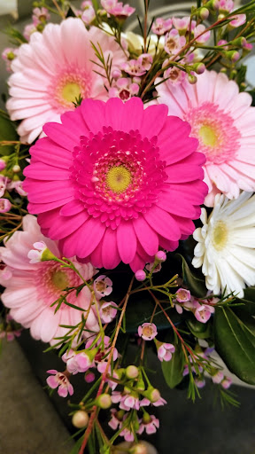 Florist «Conrad the Florist», reviews and photos, 924 Township Line Rd, Elkins Park, PA 19027, USA