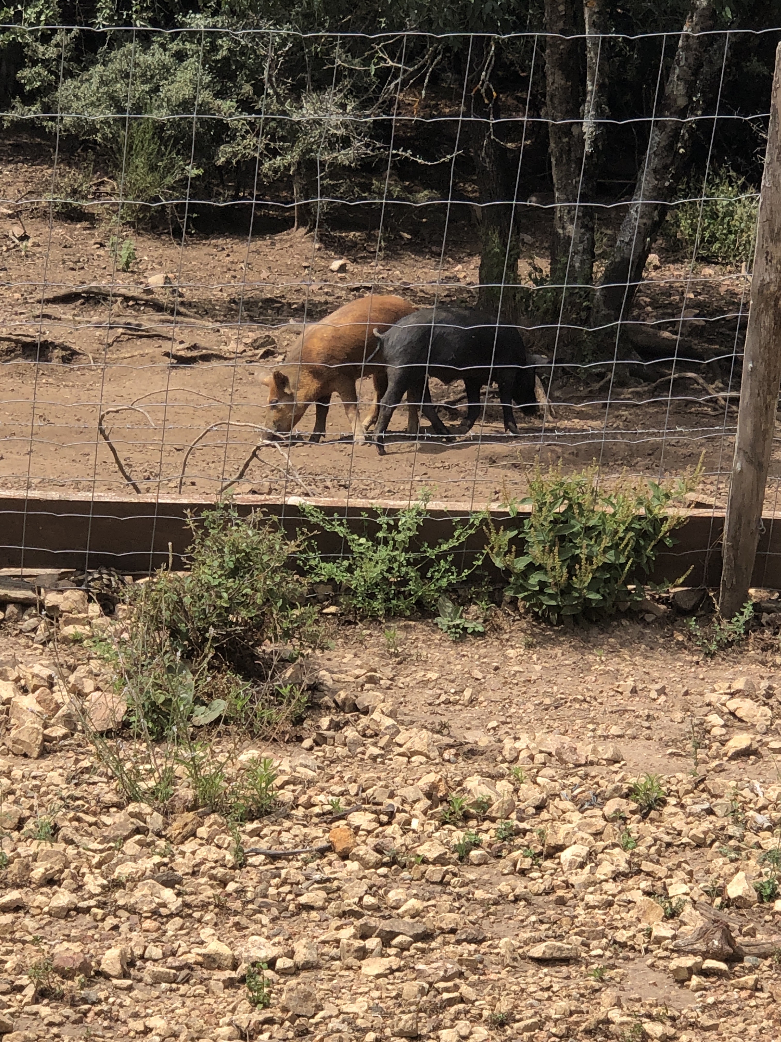 Photo n° 1 de l'avis de Ludo.E fait le 08/08/2019 à 07:55