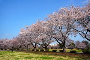 Nagano Riverside Park image