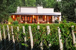 Algodon Wine Estates image