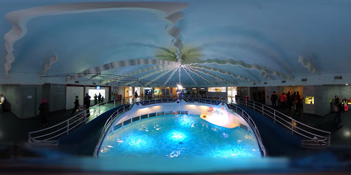 Aquarium «Aquarium of Niagara», reviews and photos, 701 Whirlpool St, Niagara Falls, NY 14301, USA