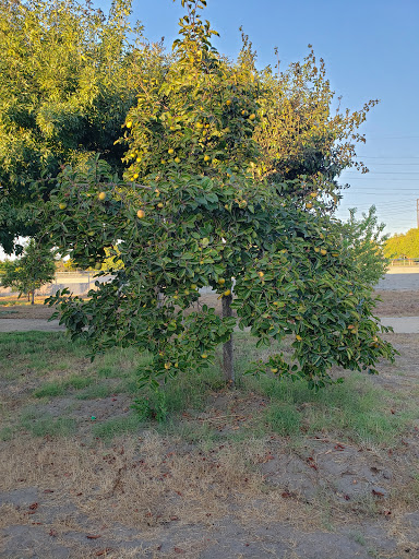 Park «Liberty Park and Fitness Center», reviews and photos, 19211 Studebaker Rd, Cerritos, CA 90703, USA