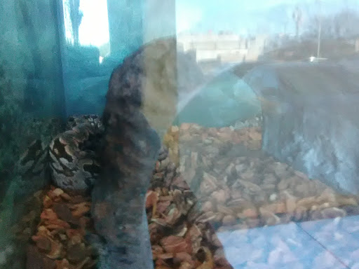 Pet Supply Store «PetSmart», reviews and photos, 104 TX-332, Lake Jackson, TX 77566, USA