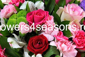 4 Seasons image