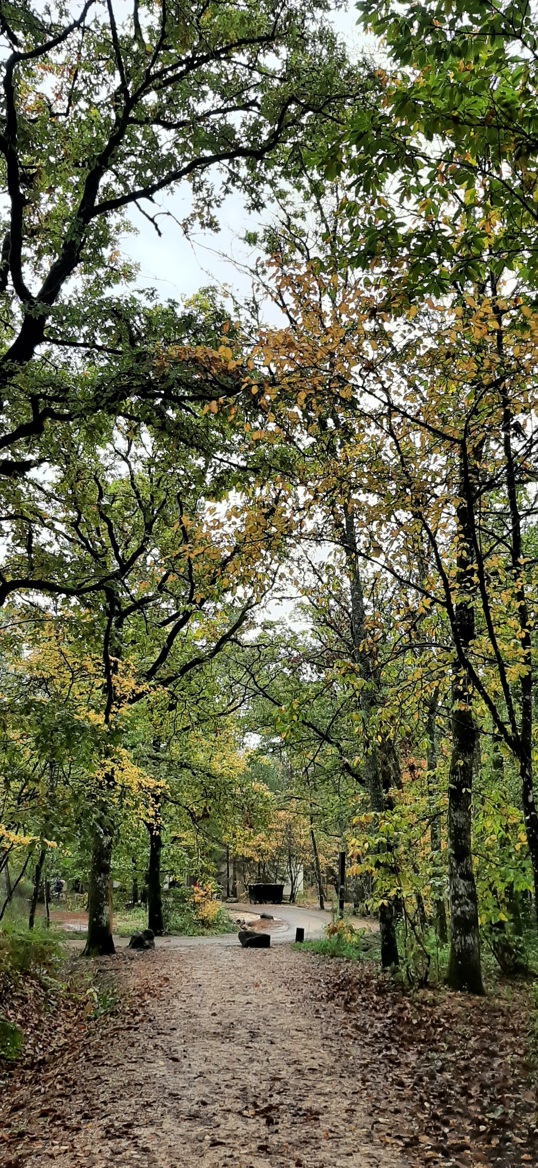 Photo n° 3 de l'avis de Beatrice.a fait le 30/10/2023 à 21:13