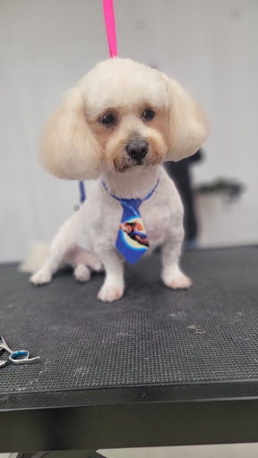 Carolina Grooming and Pet Products