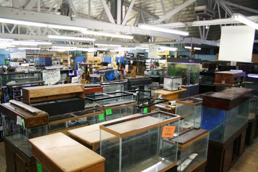 Tropical Fish Store «The Ocean Floor», reviews and photos, 2347 W Thomas Rd, Phoenix, AZ 85015, USA